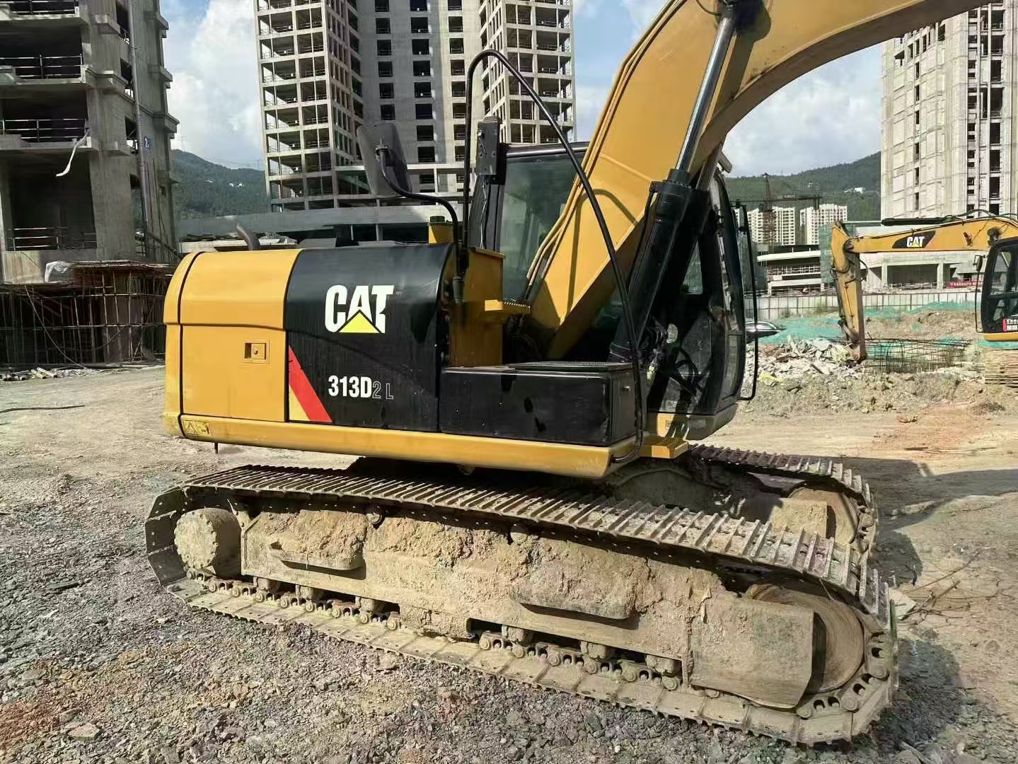 Caterpillar313